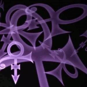 Meet your Posher, Dan